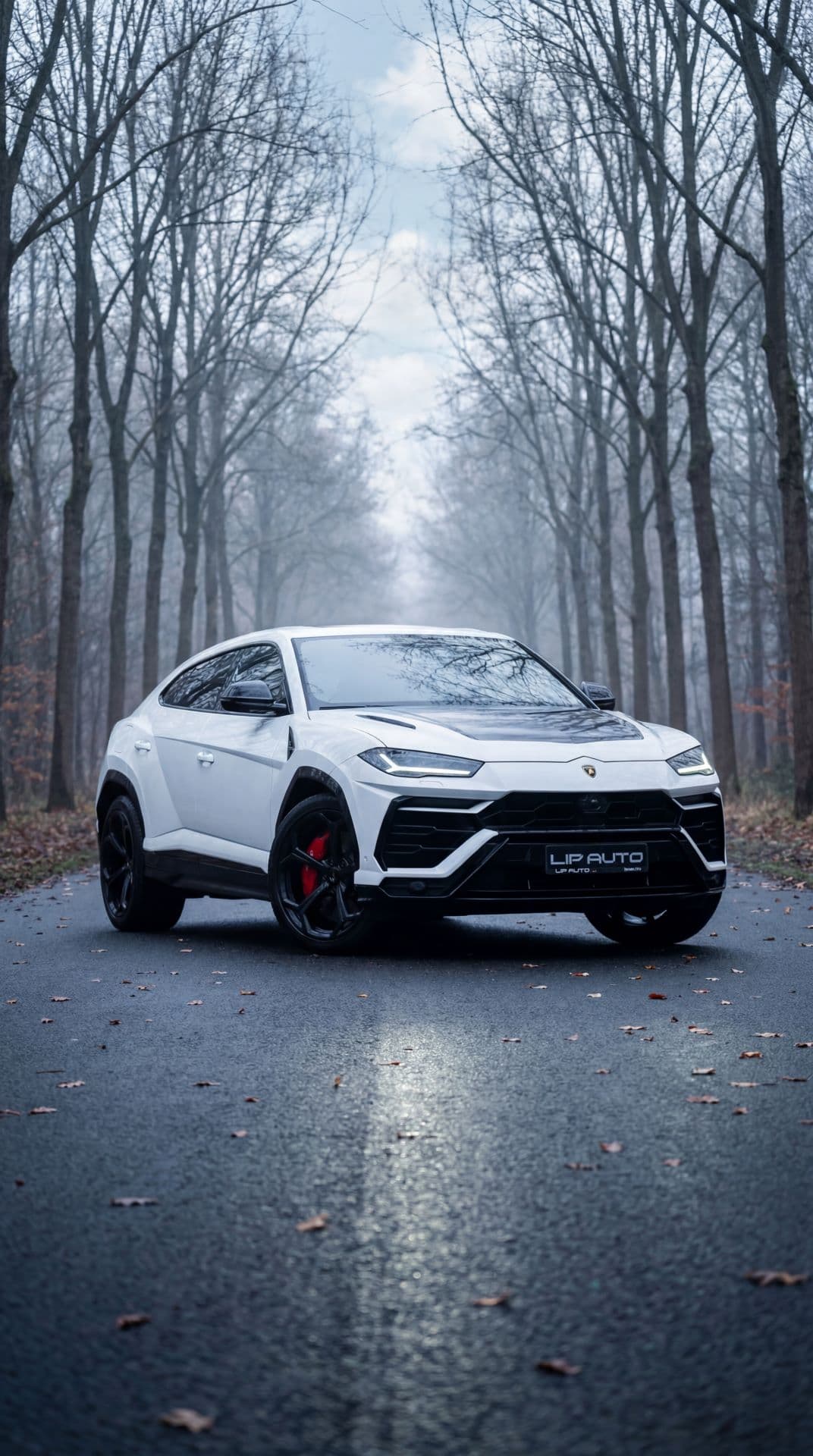 Professional car dealer in showroom